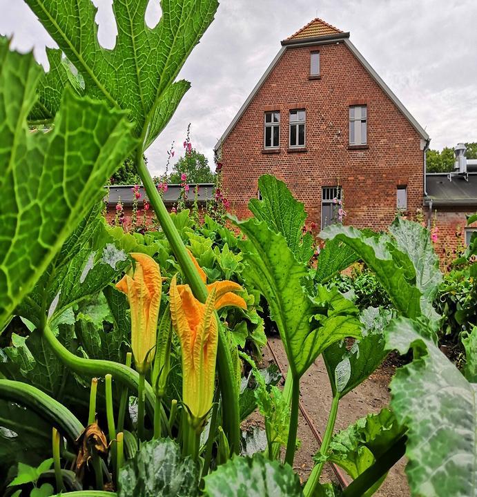 Gärtnerei am Gutshaus Parow